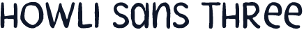 Howli Sans Three