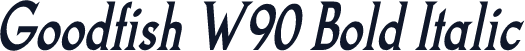 Goodfish W90 Bold Italic