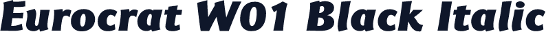 Eurocrat W01 Black Italic