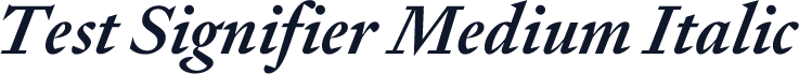 Test Signifier Medium Italic