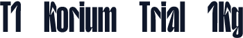 T1 Korium Trial 1Kg