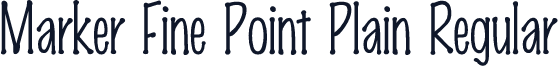 Marker Fine Point Plain Regular