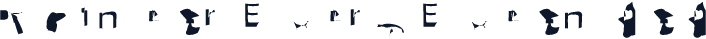 Pointer ExtraExtended