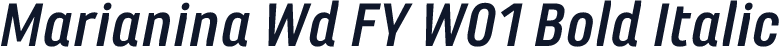 Marianina Wd FY W01 Bold Italic