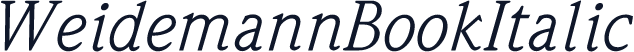 WeidemannBookItalic