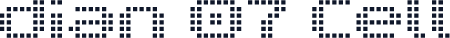 dian 07 Cell