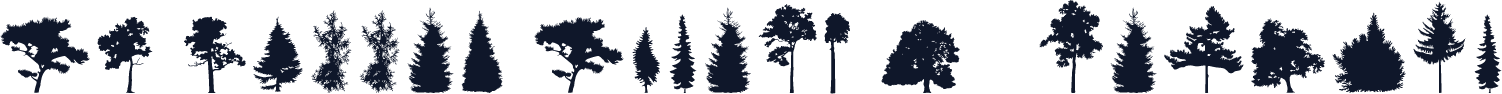 FT Hidden Forest W05 Regular