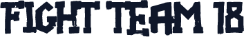 Fight team 18