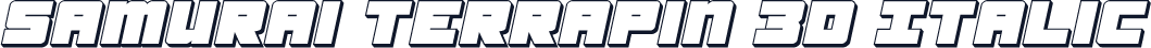Samurai Terrapin 3D Italic