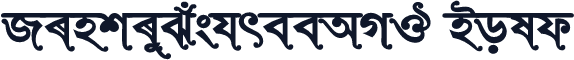 RinkiySushreeAMJ Bold
