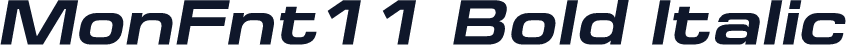 MonFnt11 Bold Italic