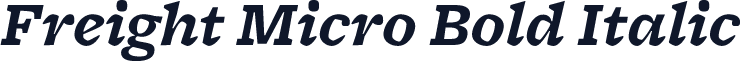 Freight Micro Bold Italic