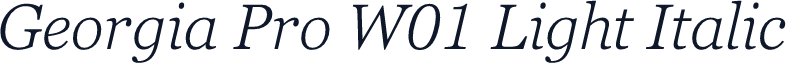 Georgia Pro W01 Light Italic