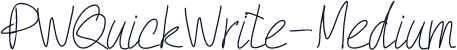 PWQuickWrite-Medium