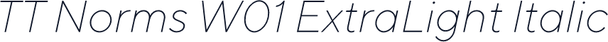 TT Norms W01 ExtraLight Italic