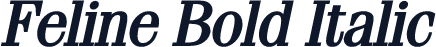 Feline Bold Italic