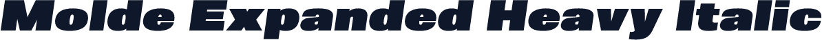 Molde Expanded Heavy Italic