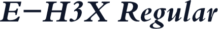 E-H3X Regular