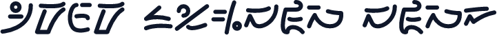Arer Symbol Bold