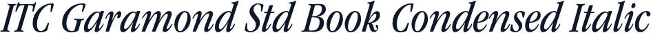 ITC Garamond Std Book Condensed Italic
