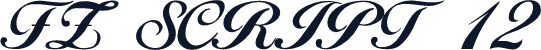 FZ SCRIPT 12