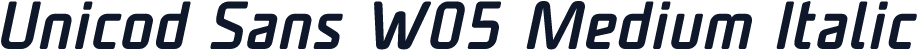 Unicod Sans W05 Medium Italic