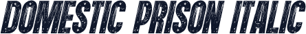 Domestic Prison Italic