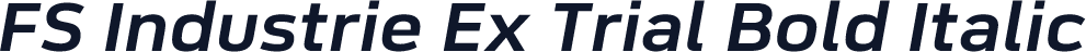 FS Industrie Ex Trial Bold Italic