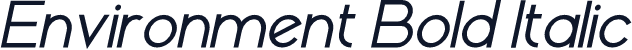 Environment Bold Italic
