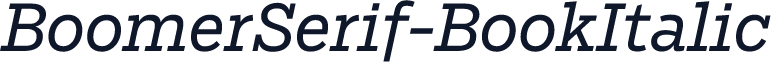 BoomerSerif-BookItalic