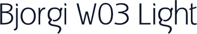 Bjorgi W03 Light
