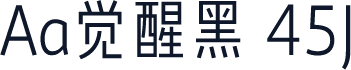 Aa觉醒黑 45J