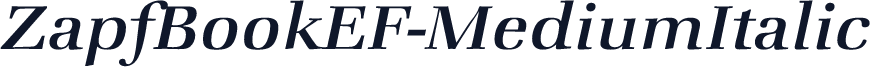 ZapfBookEF-MediumItalic
