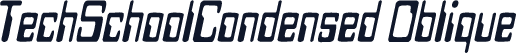 TechSchoolCondensed Oblique