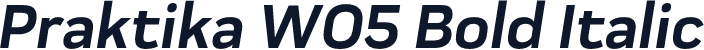 Praktika W05 Bold Italic