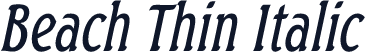 Beach Thin Italic