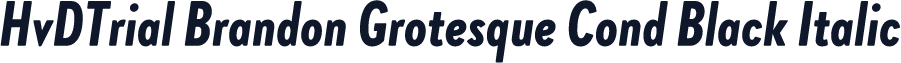 HvDTrial Brandon Grotesque Cond Black Italic