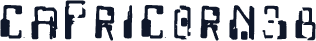 Capricorn38