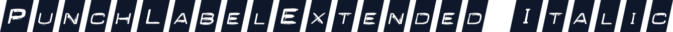 PunchLabelExtended Italic