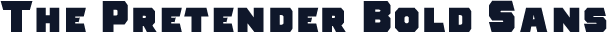 The Pretender Bold Sans