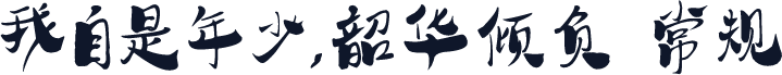 我自是年少,韶华倾负 常规