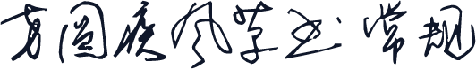 方圆疾风草书 常规