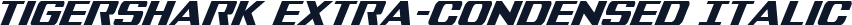 Tigershark Extra-Condensed Italic