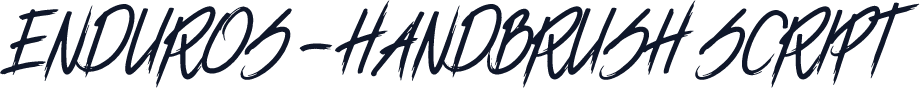 ENDUROS - HANDBRUSH SCRIPT