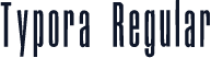 Typora Regular