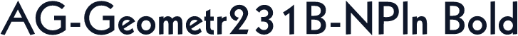 AG-Geometr231B-NPln Bold
