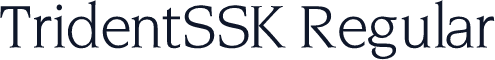 TridentSSK Regular