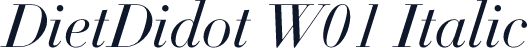 DietDidot W01 Italic