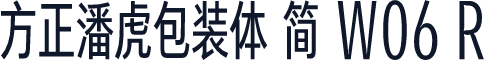 方正潘虎包装体 简 W06 R