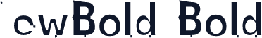 NewBold Bold